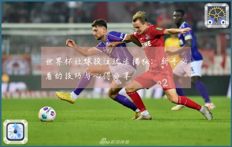 世界杯让球投注玩法揭秘：新手必看的技巧与心得分享