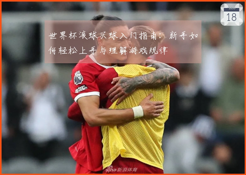世界杯滚球买球入门指南：新手如何轻松上手与理解游戏规律