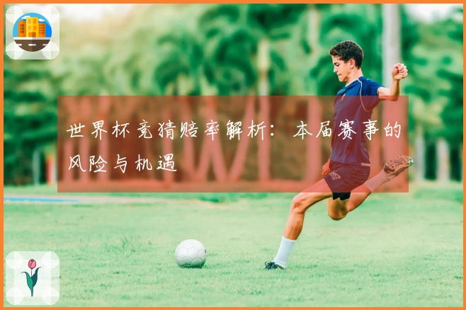 世界杯竞猜赔率解析：本届赛事的风险与机遇