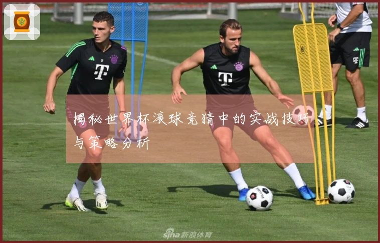 揭秘世界杯滚球竞猜中的实战技巧与策略分析